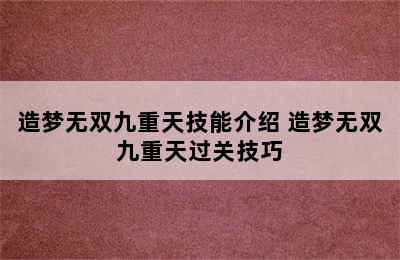 造梦无双九重天技能介绍 造梦无双九重天过关技巧